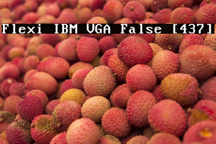 Flexi IBM VGA False [437] Example 2