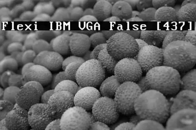 Flexi IBM VGA False [437] Font examples