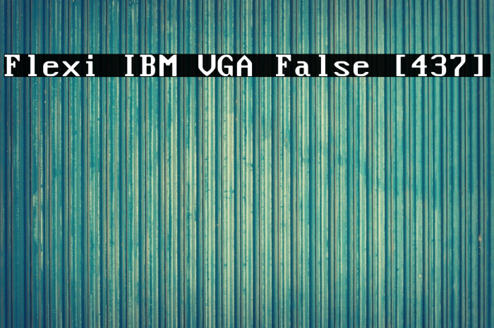 Flexi IBM VGA False [437] Example 3