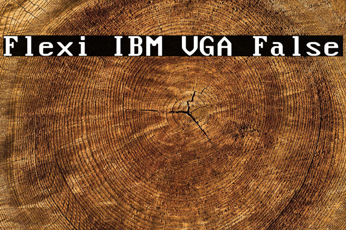 Flexi IBM VGA False Example 1