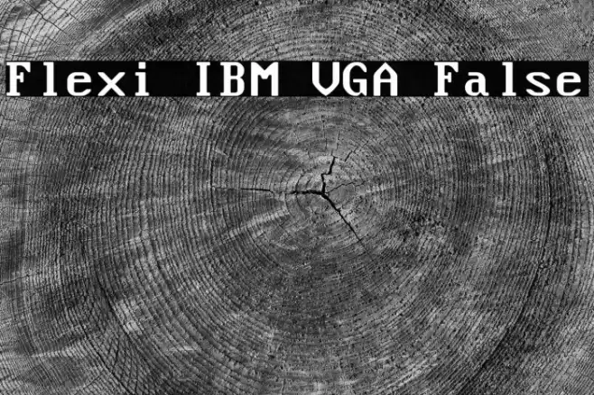 Flexi IBM VGA False Font examples