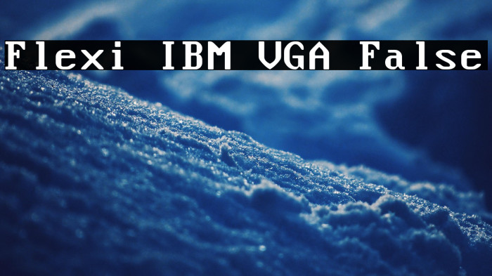 Flexi IBM VGA False Example 3