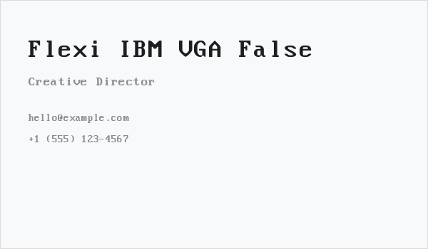Flexi IBM VGA False Business Card
