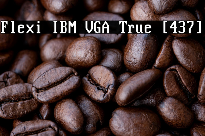 Flexi IBM VGA True [437] Example 1