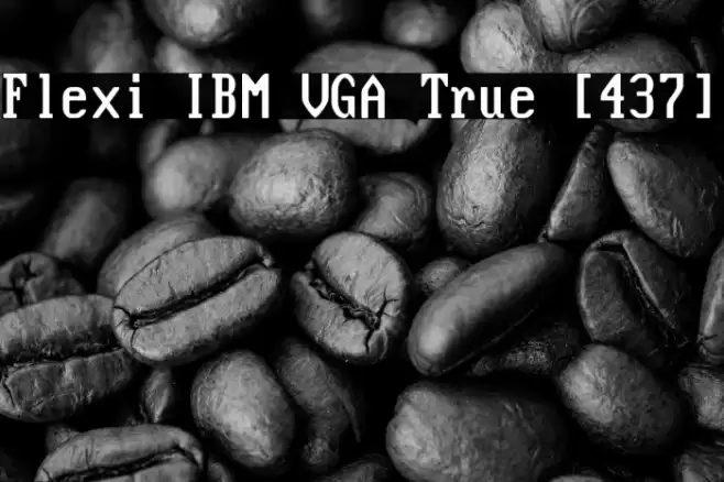 Flexi IBM VGA True [437] Font examples
