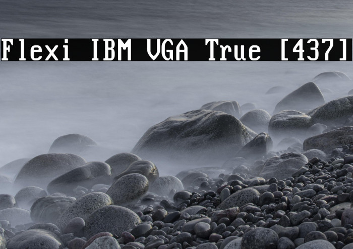 Flexi IBM VGA True [437] Example 2