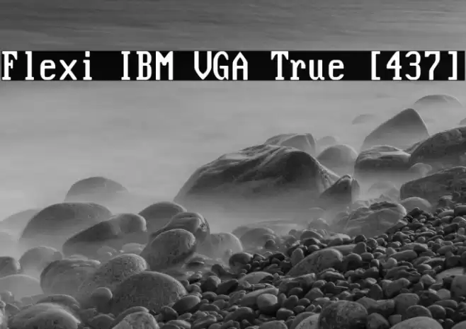 Flexi IBM VGA True [437] Font examples