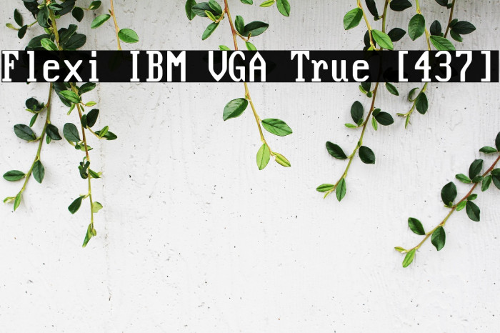 Flexi IBM VGA True [437] Example 3