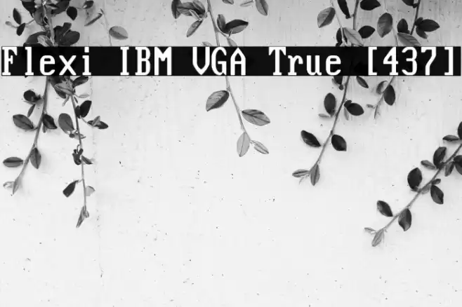 Flexi IBM VGA True [437] Font examples