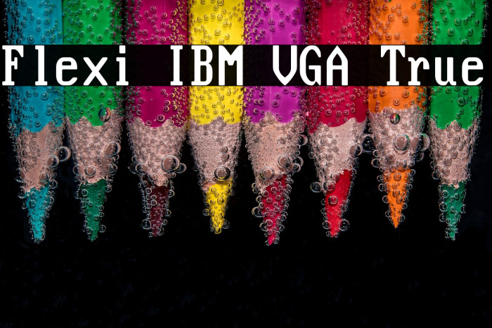 Flexi IBM VGA True Example 1