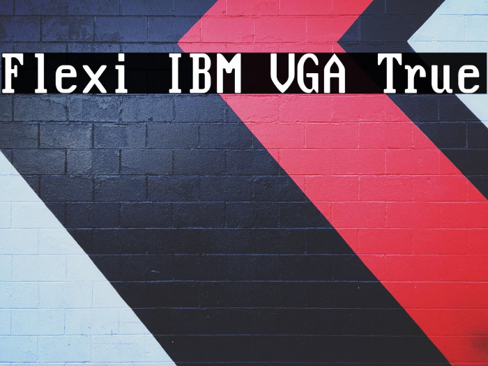 Flexi IBM VGA True Example 3