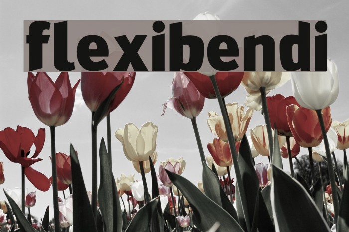 FlexiBendi Example 1