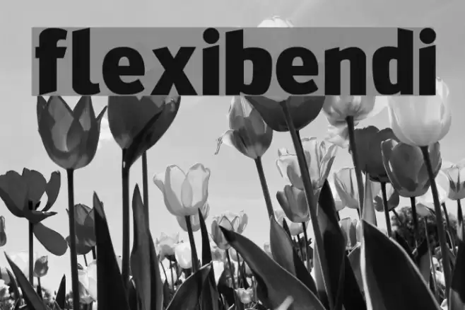 FlexiBendi examples