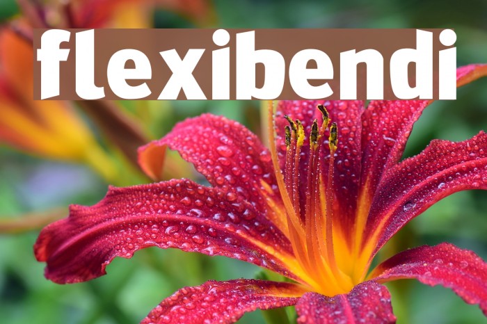 FlexiBendi Example 2