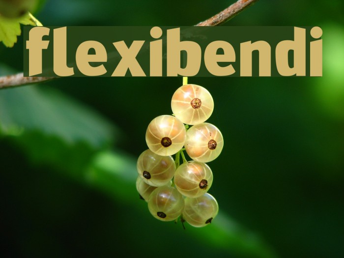 FlexiBendi Example 3
