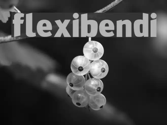 FlexiBendi examples