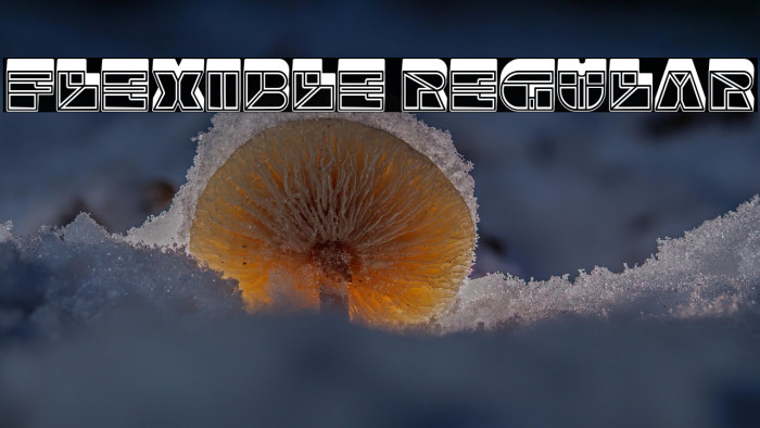 Flexible Regular Example 1