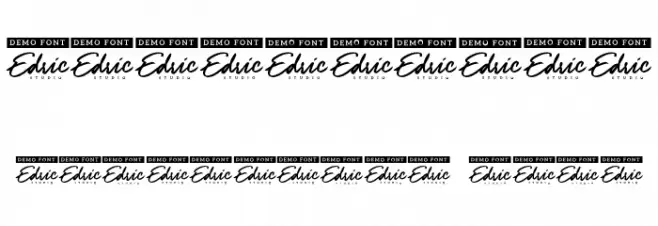 Flexible Times Demo Italic Font OTHER CHARS