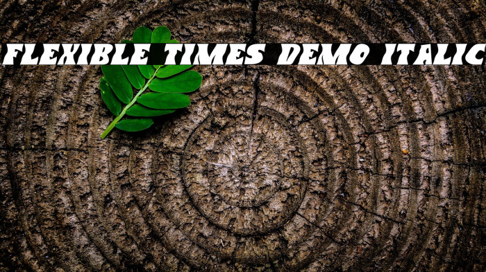 Flexible Times Demo Italic Example 1