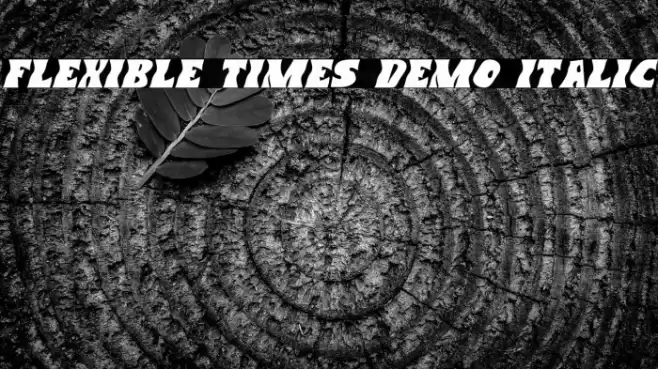 Flexible Times Demo Italic Font examples