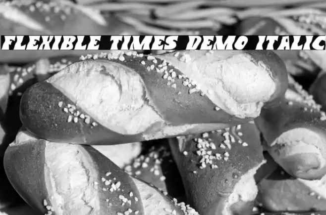 Flexible Times Demo Italic Font examples