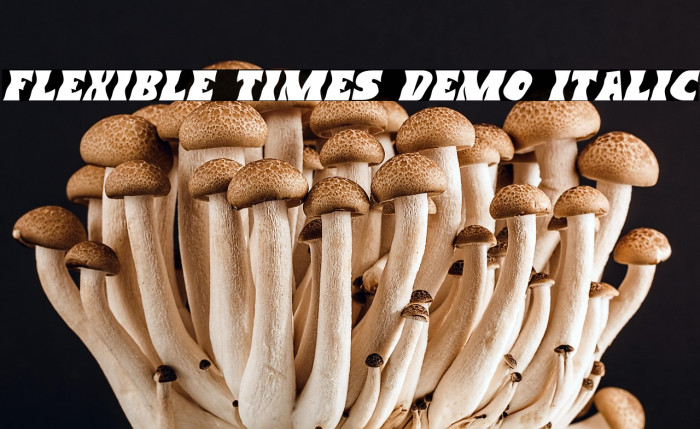 Flexible Times Demo Italic Example 3