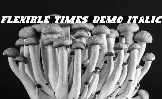 Flexible Times Demo Italic Font examples