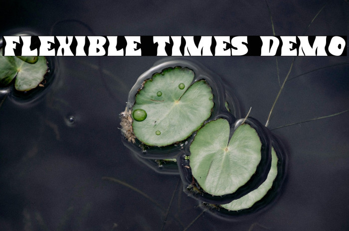 Flexible Times Demo Example 1