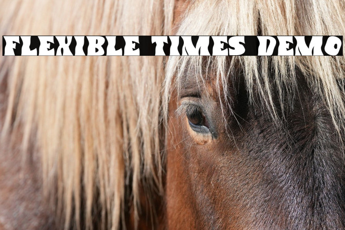Flexible Times Demo Example 2