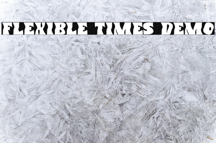 Flexible Times Demo Example 3