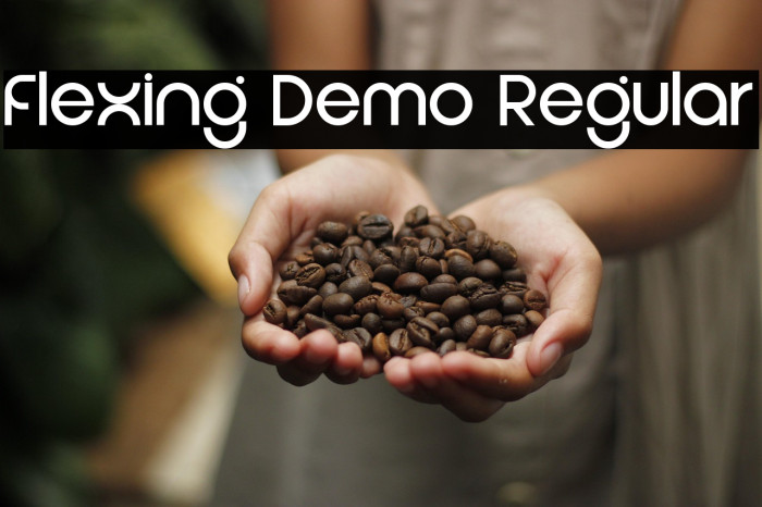 Flexing Demo Regular Example 2