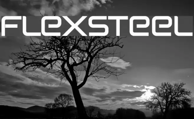 Flexsteel Font examples