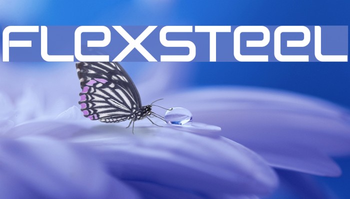 Flexsteel Example 3