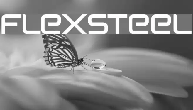 Flexsteel Font examples