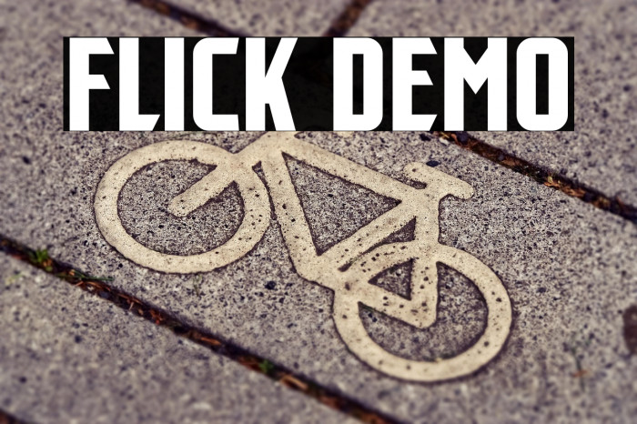 Flick Demo Example 1