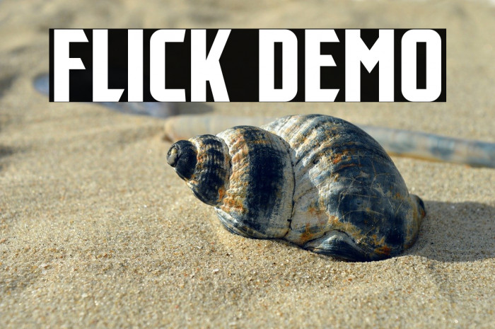 Flick Demo Example 2