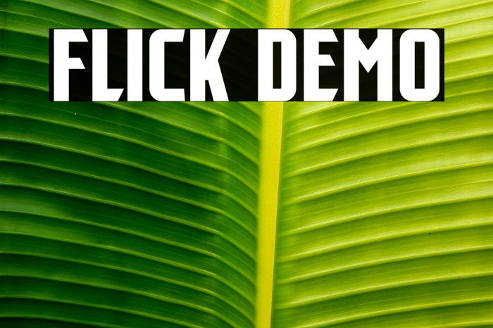 Flick Demo Example 3