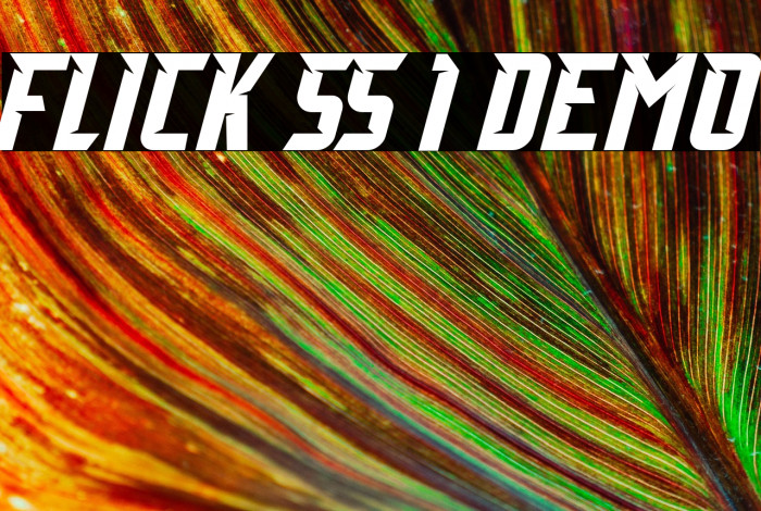 Flick SS 1 Demo Example 1