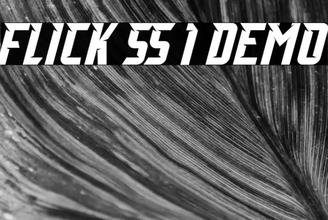 Flick SS 1 Demo フォント examples