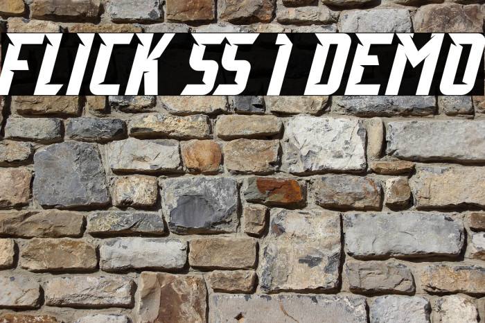 Flick SS 1 Demo Example 2