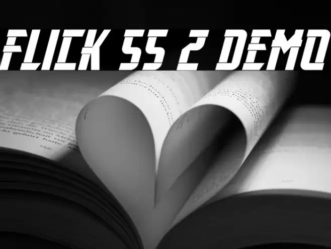 Flick SS 2 Demo Polices examples