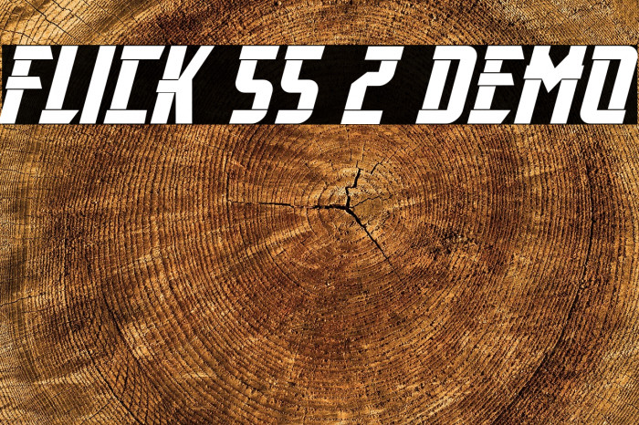 Flick SS 2 Demo Example 2