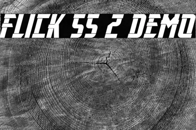 Flick SS 2 Demo Polices examples