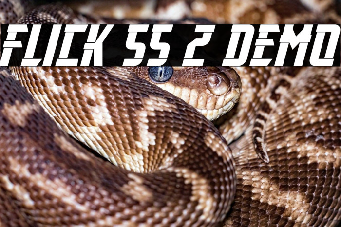 Flick SS 2 Demo Example 3