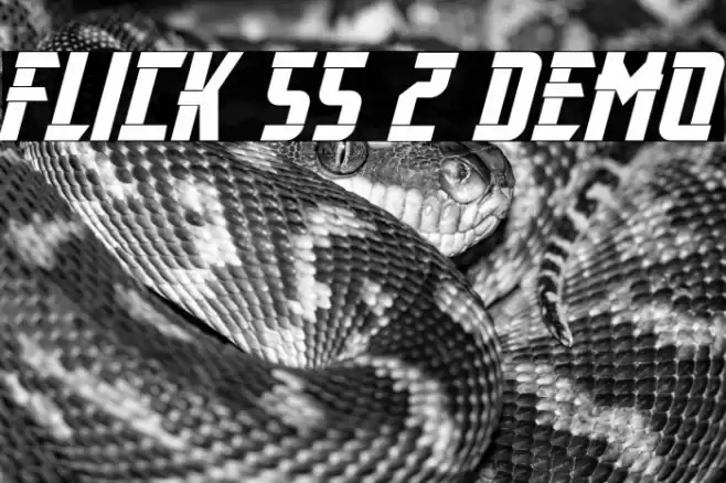 Flick SS 2 Demo Polices examples