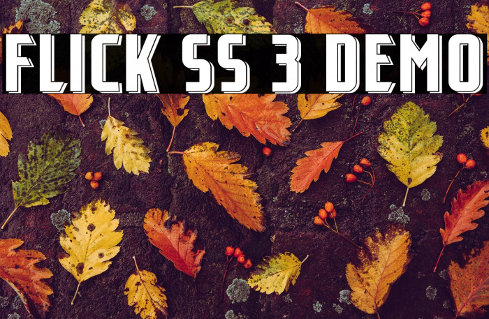 Flick SS 3 Demo Example 2