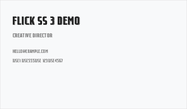 Flick SS 3 Demo Business Card