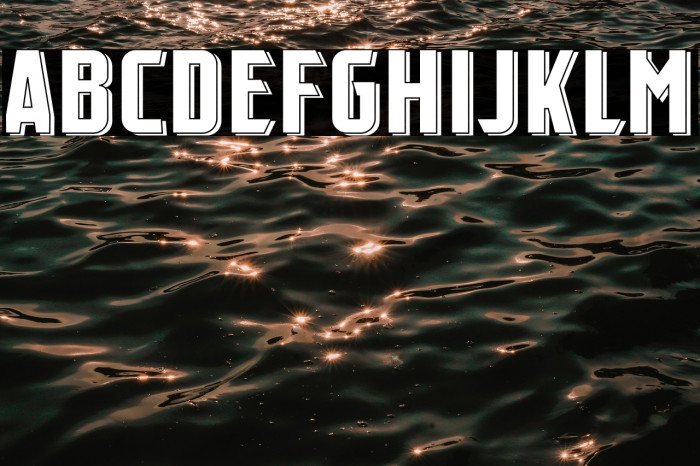 Flick SS 3 Personal Use Example 3