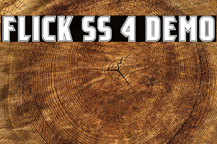 Flick SS 4 Demo Example 1