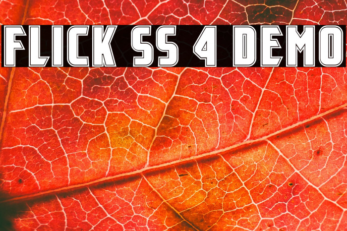 Flick SS 4 Demo Example 2